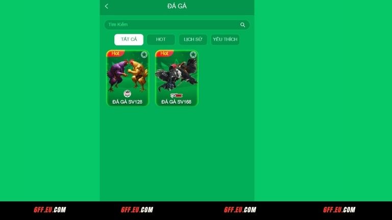 Giới thiệu đá gà 6FF