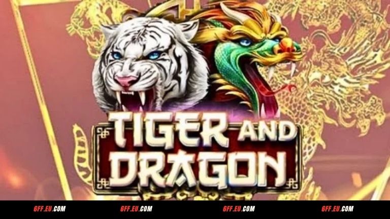 Giới thiệu Rồng Hổ 6FF